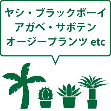 希少樹種の
取扱いあり