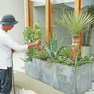 店舗の植栽も
お任せください！